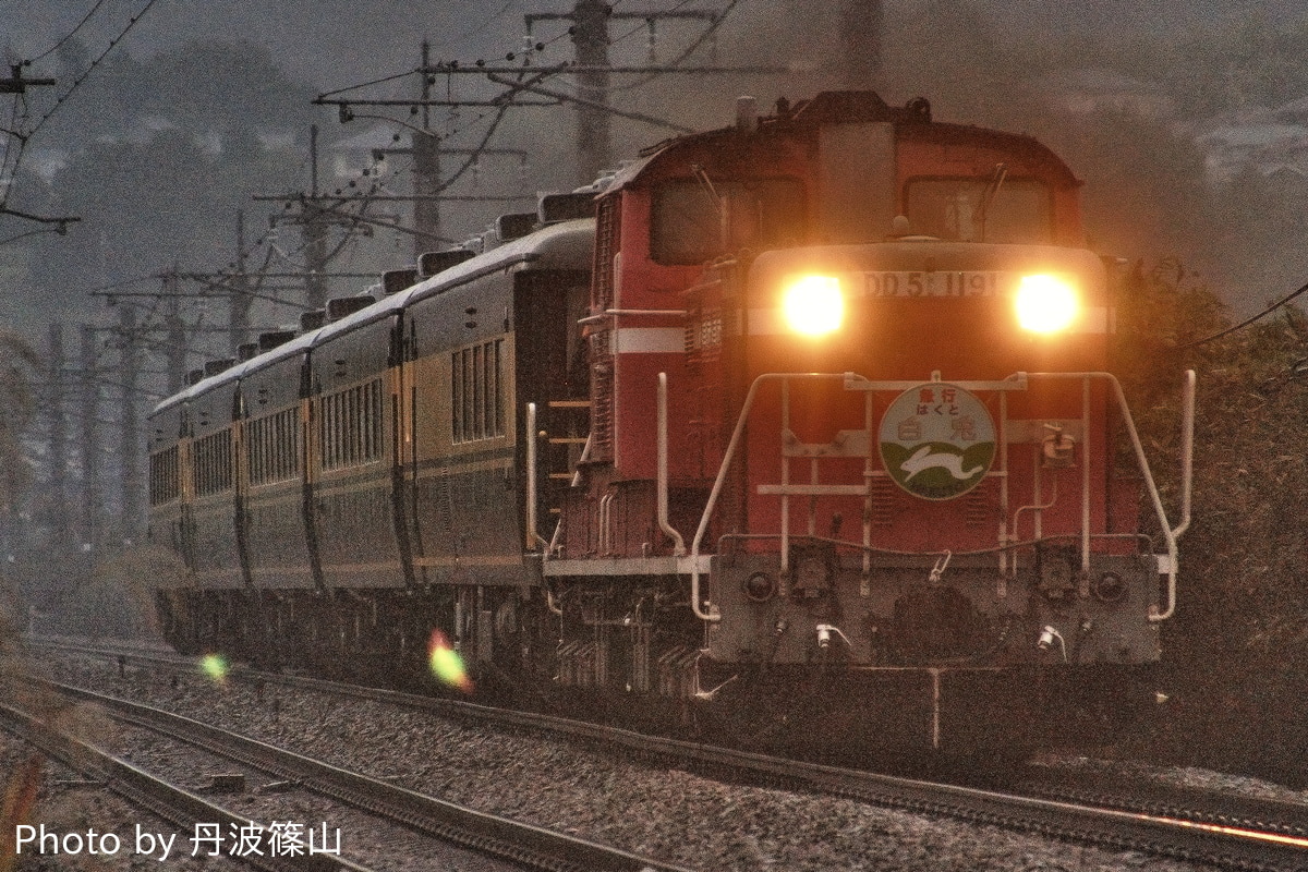 JR西日本 網干総合車両所宮原支所 DD51 1191