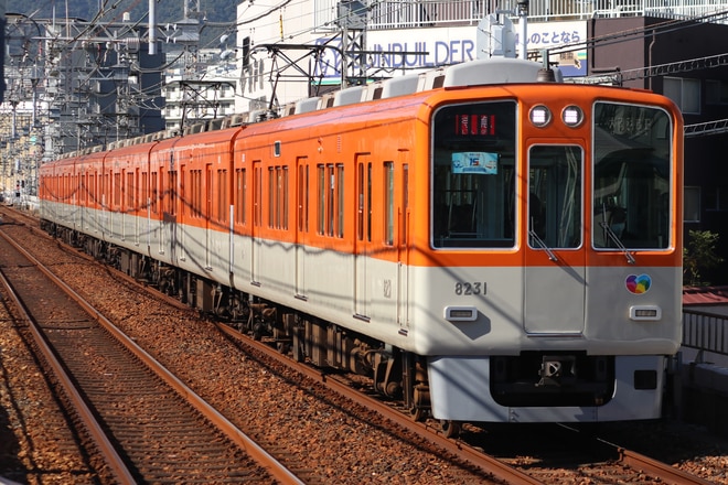 尼崎車庫8000系8231Fを住吉駅で撮影した写真