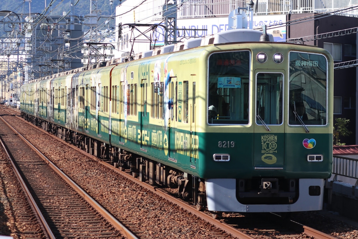 阪神電気鉄道 尼崎車庫 8000系 8219F