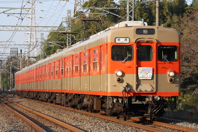 南栗橋車両管区七光台支所8000系を七里～岩槻間で撮影した写真