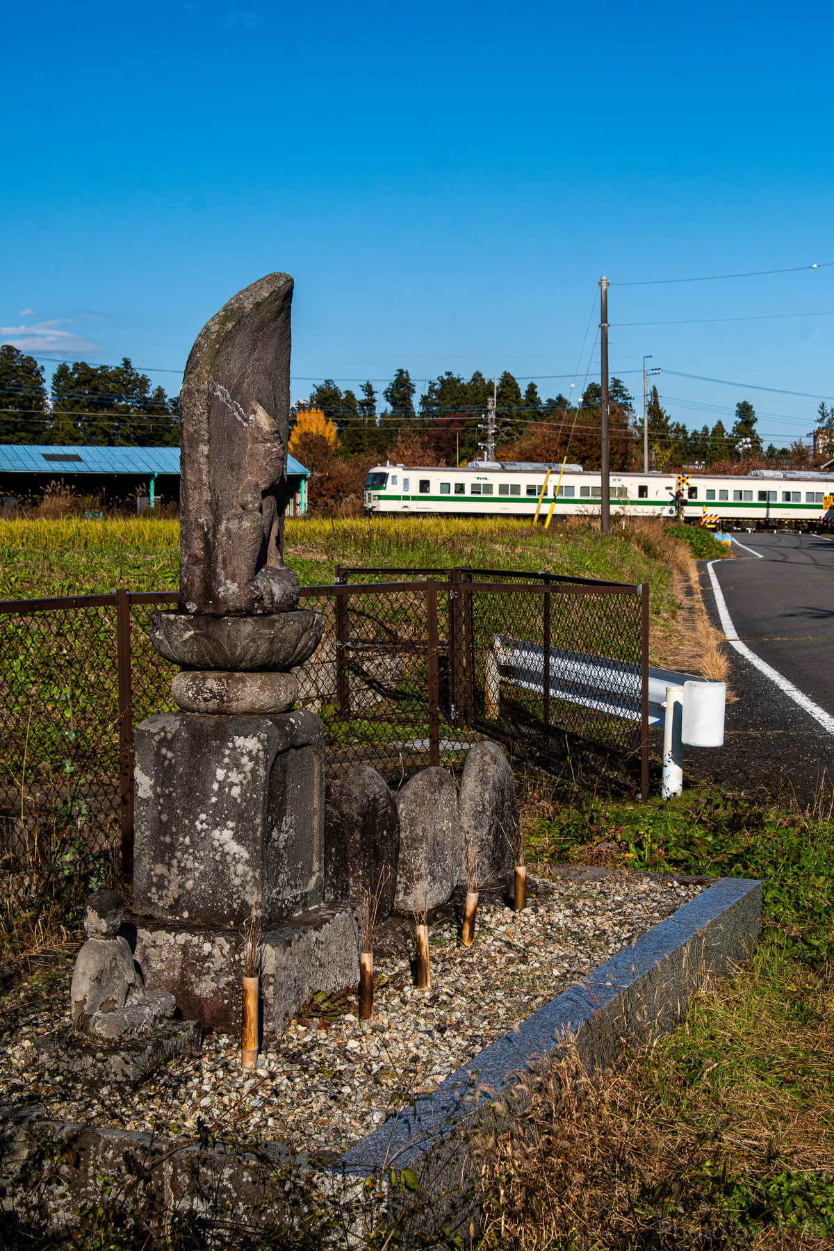 JR東日本 大宮総合車両センター東大宮センター 185系 オオC1編成