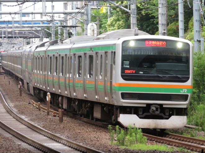 やまことなります。 CSWR-3080(DBR) カラーボックス 横向き 1台 YAMAZEN(山善
