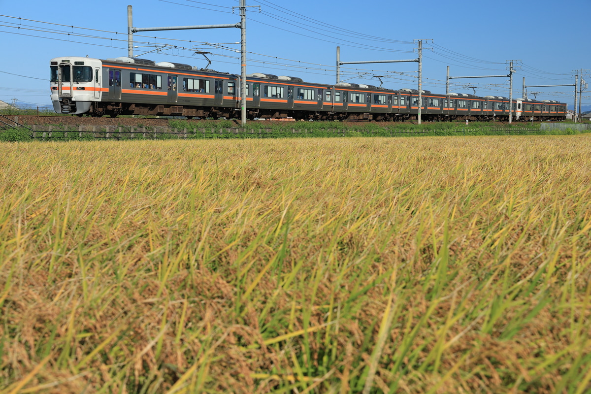 JR東海 大垣車両区 313系 カキ103編成