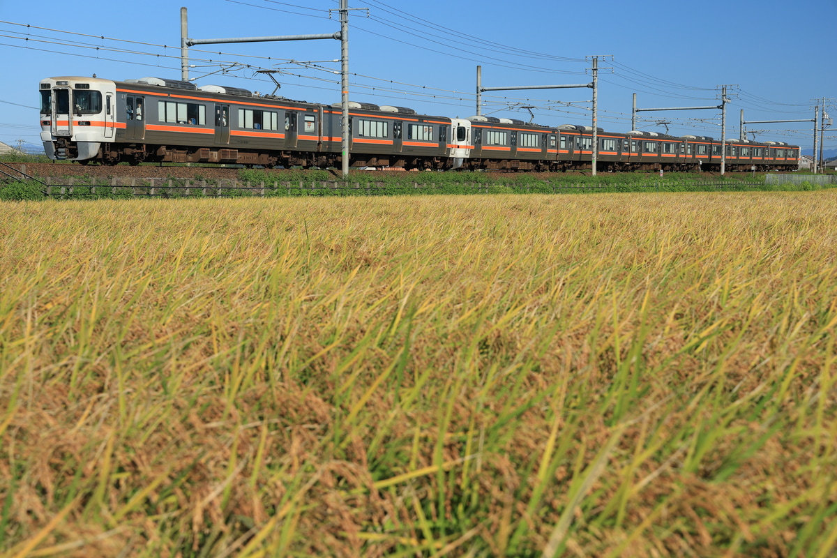 JR東海 大垣車両区 313系 カキZ3編成