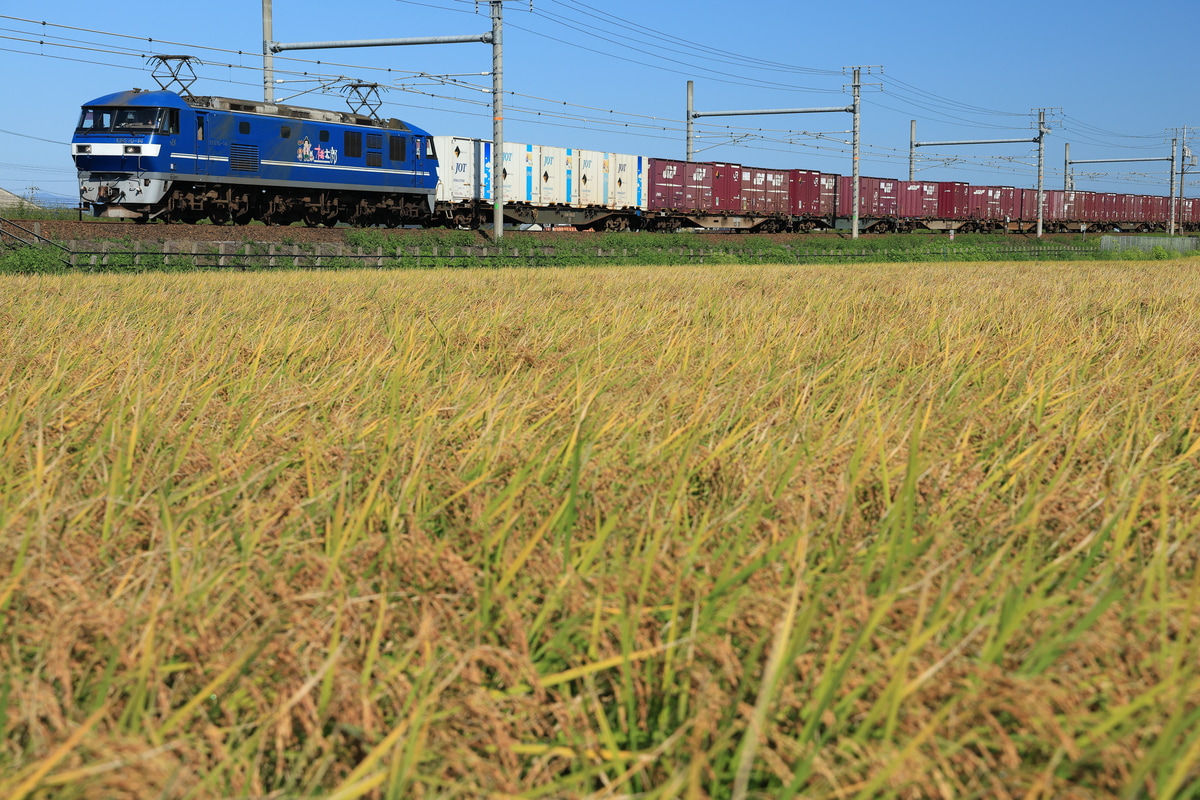 JR貨物 岡山機関区 EF210 14