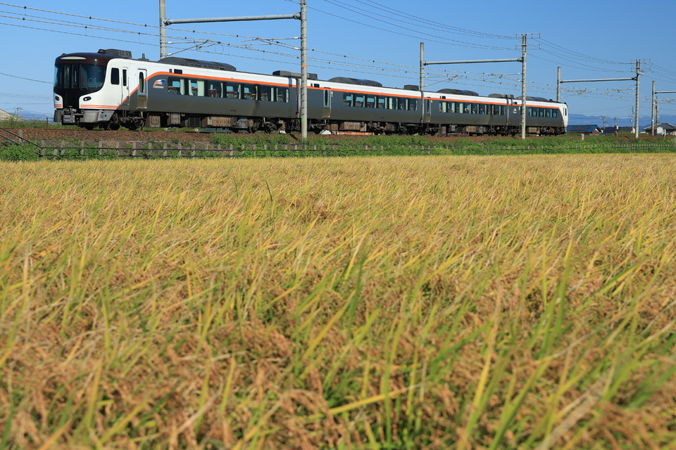 JR海HC85系D2編成の写真