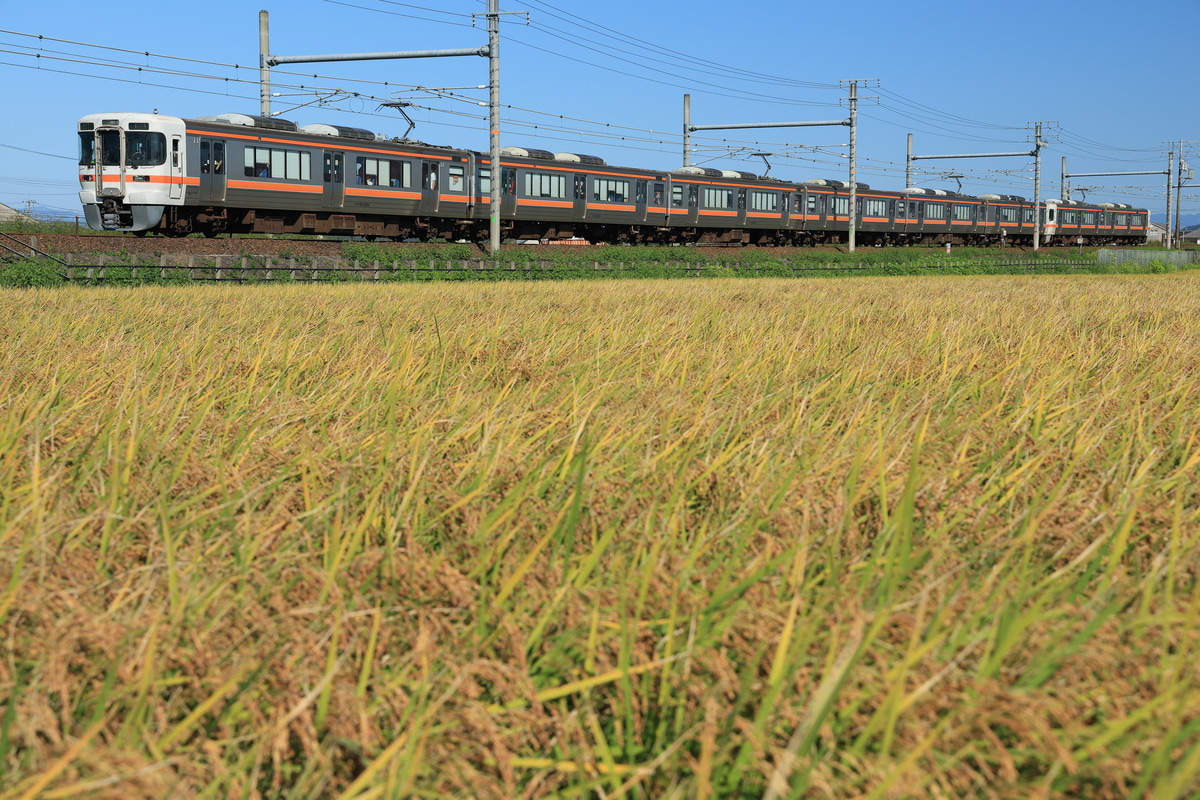 JR東海 大垣車両区 313系 カキY111編成