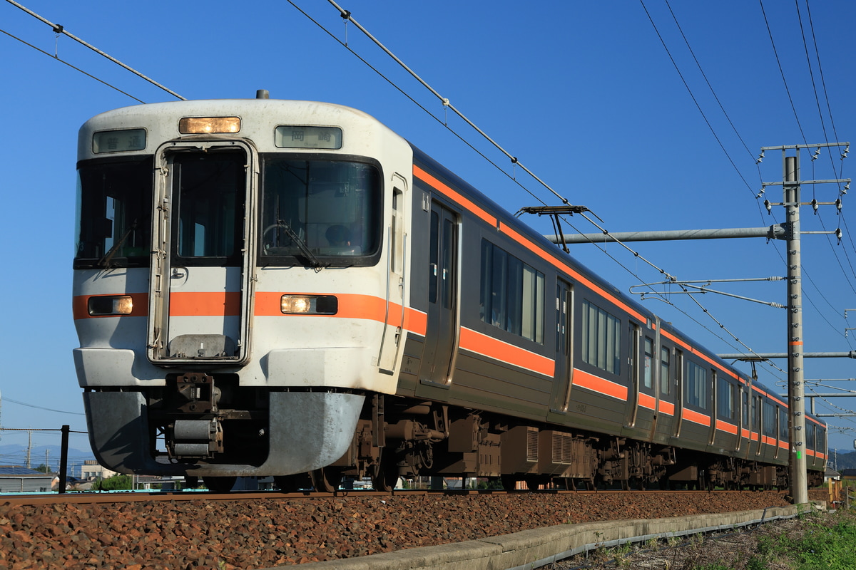 JR東海 大垣車両区 313系 カキY3編成