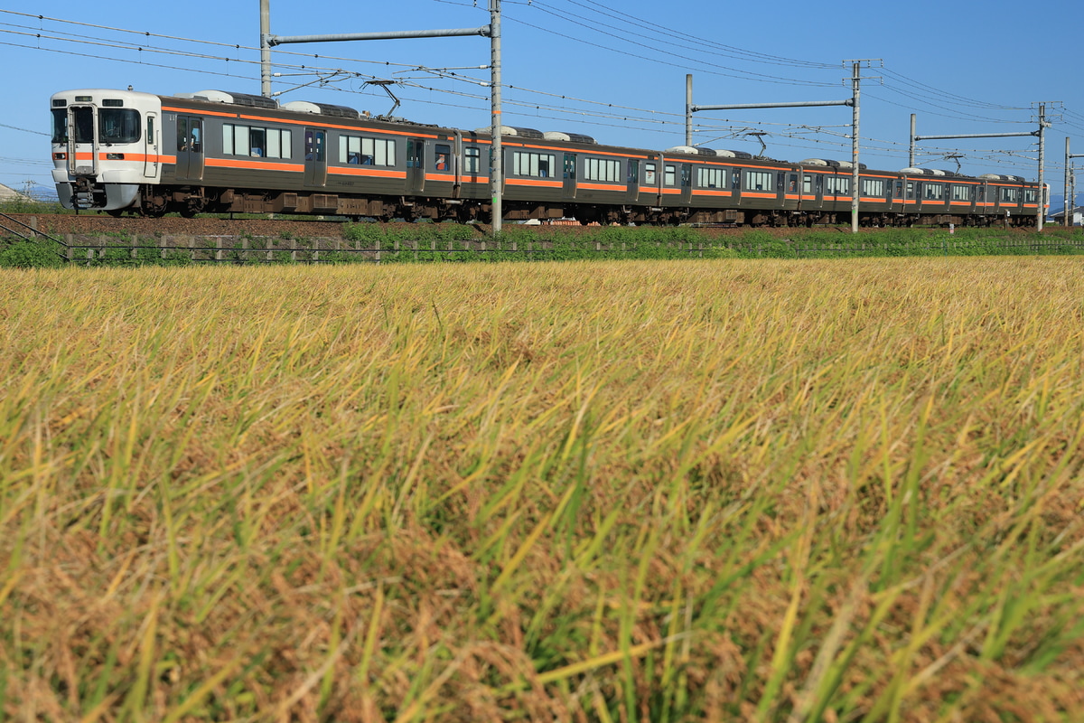 JR東海 大垣車両区 313系 カキY107編成