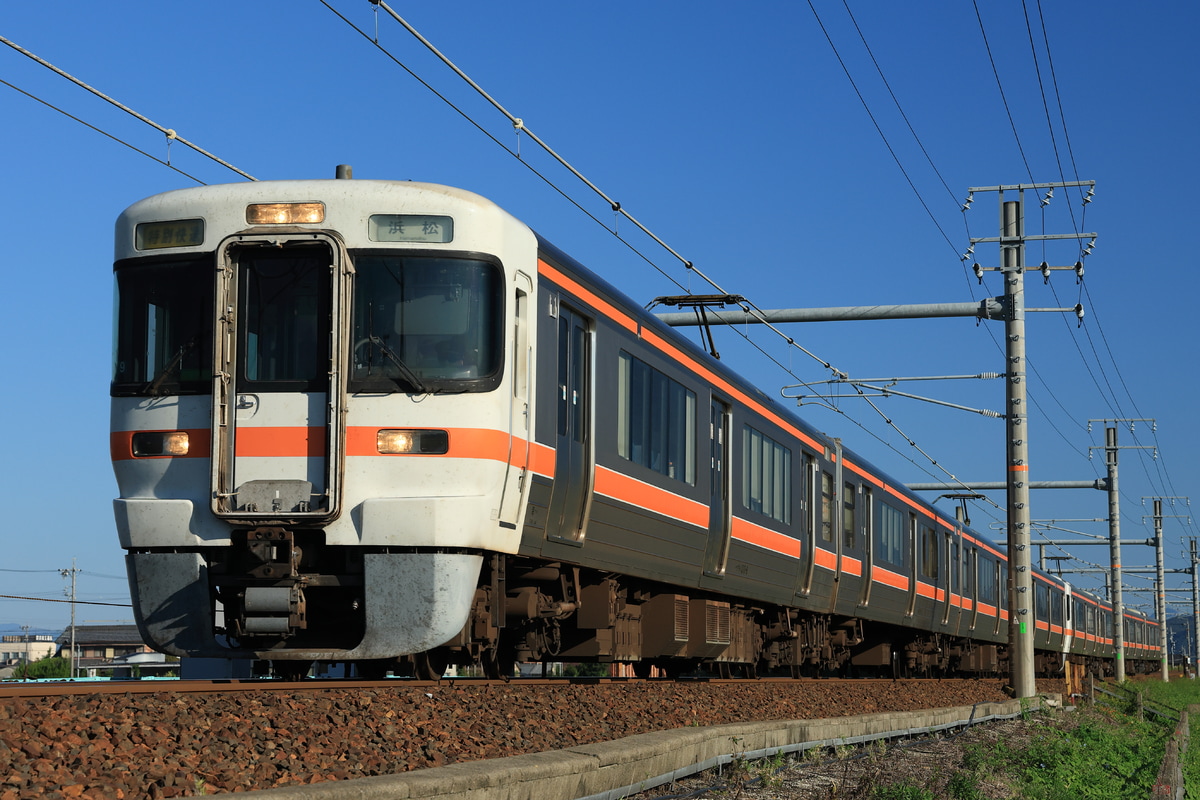 JR東海 大垣車両区 313系 カキY9編成