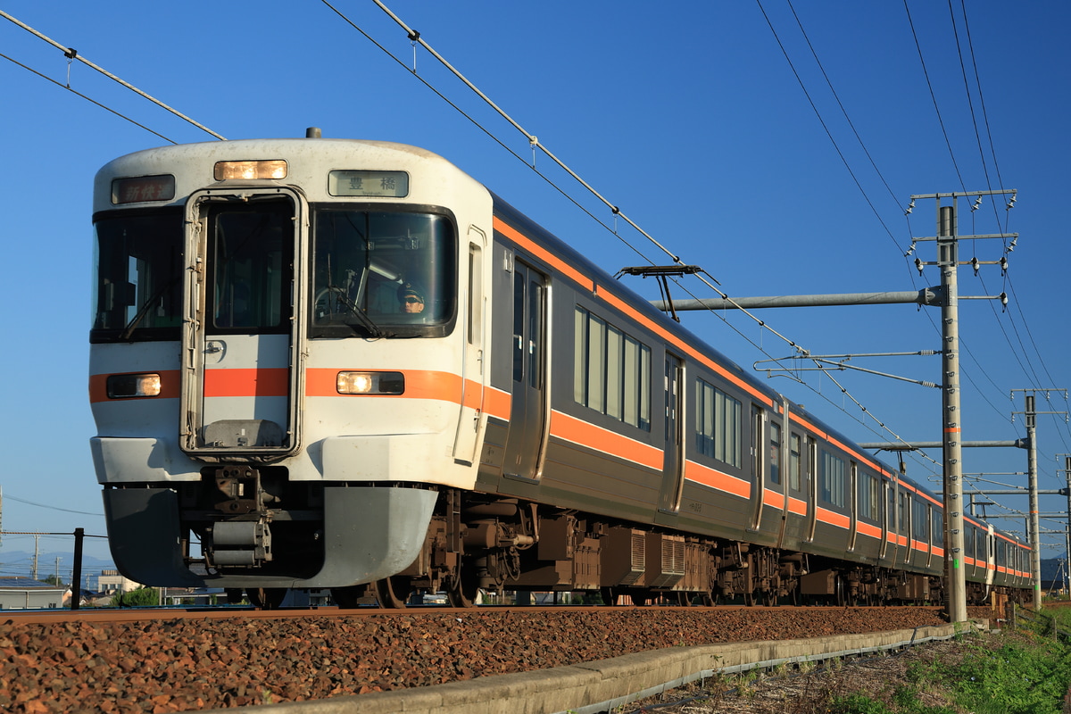 JR東海 大垣車両区 313系 カキY5編成