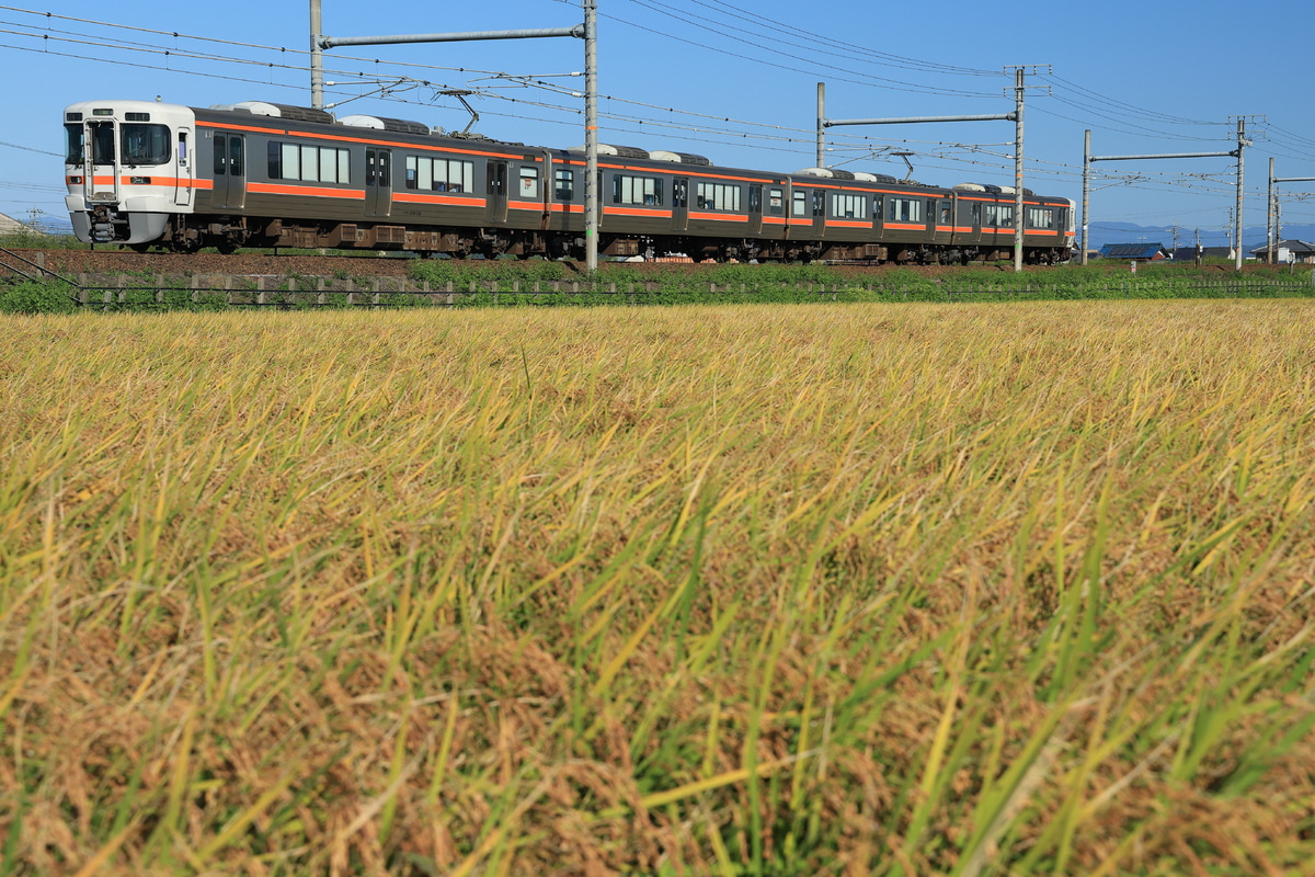 JR東海 大垣車両区 313系 カキJ16編成