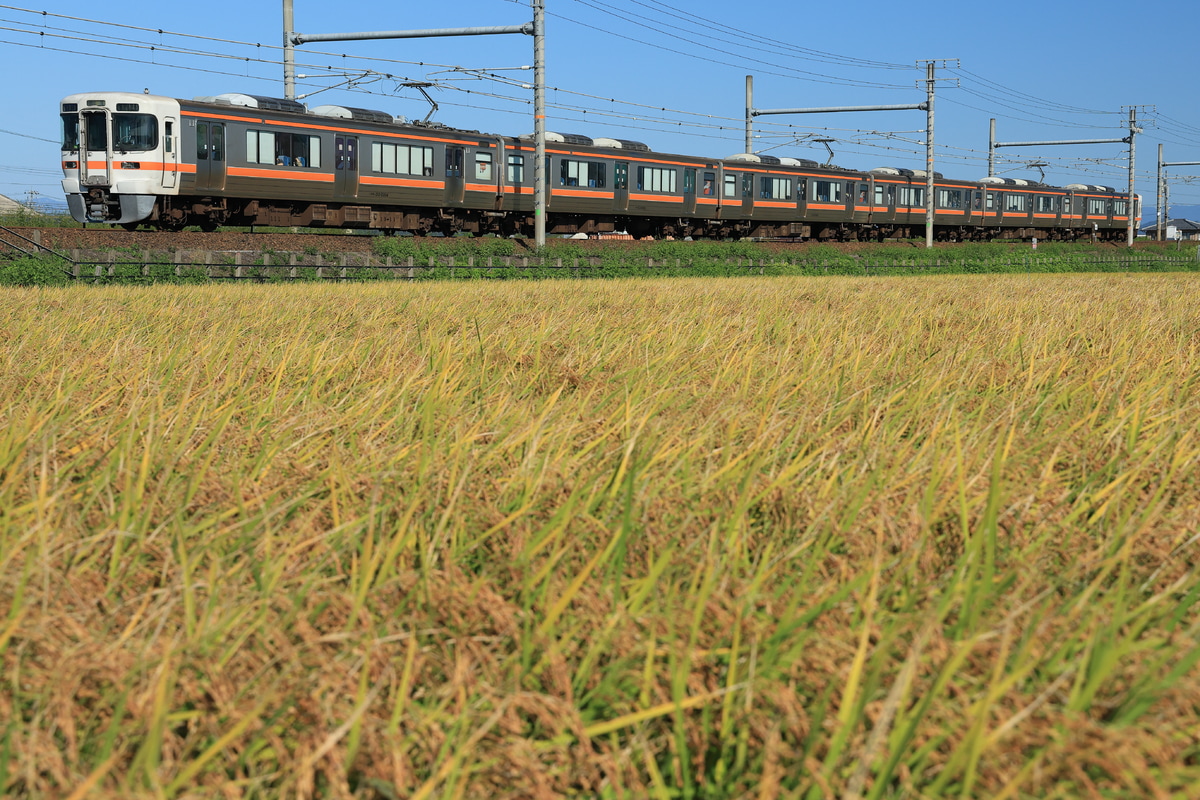 JR東海 大垣車両区 313系 カキY104編成