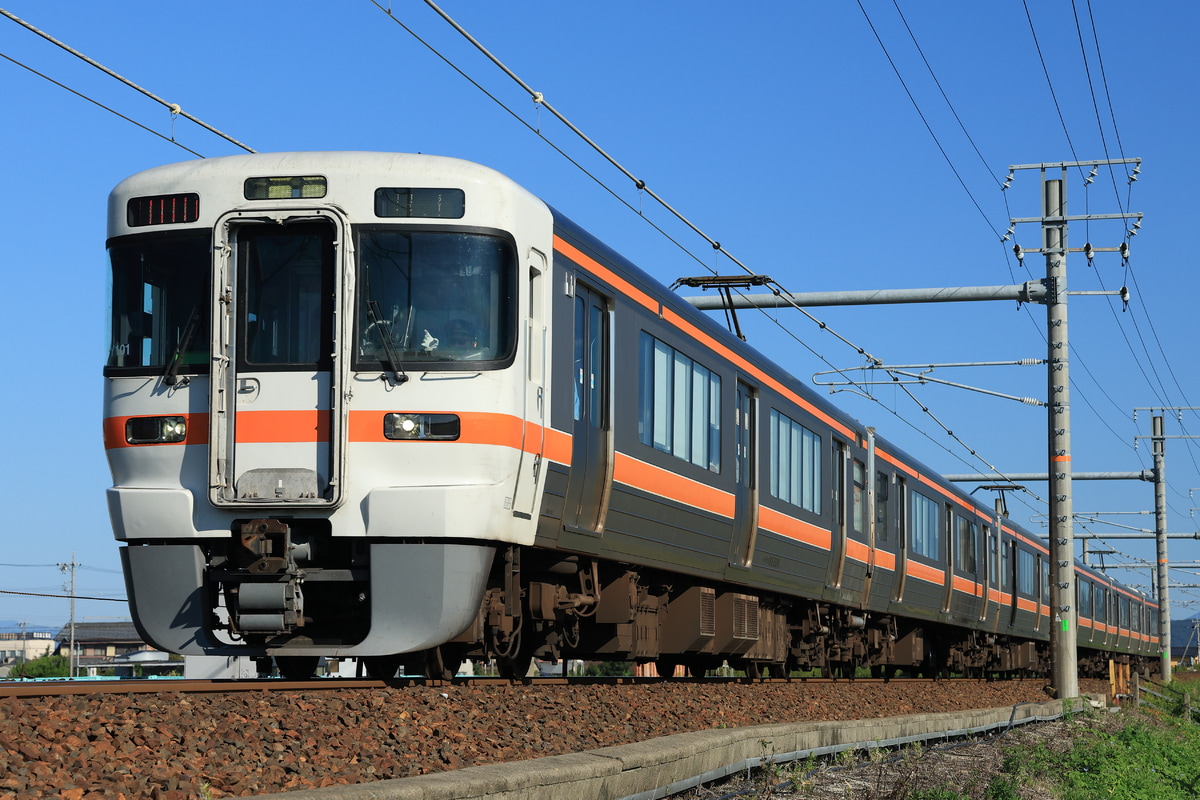 JR東海 大垣車両区 313系 カキY101編成