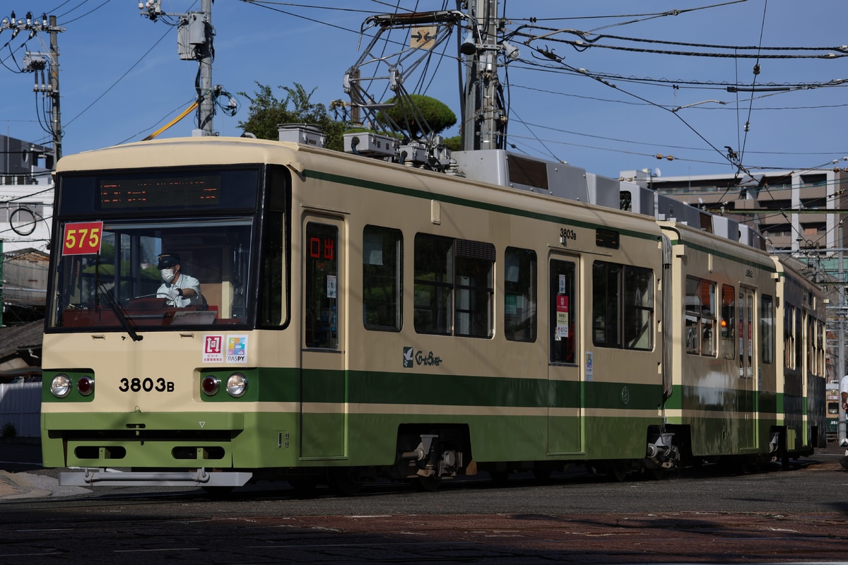 広島電鉄 千田車庫 3800形 3803