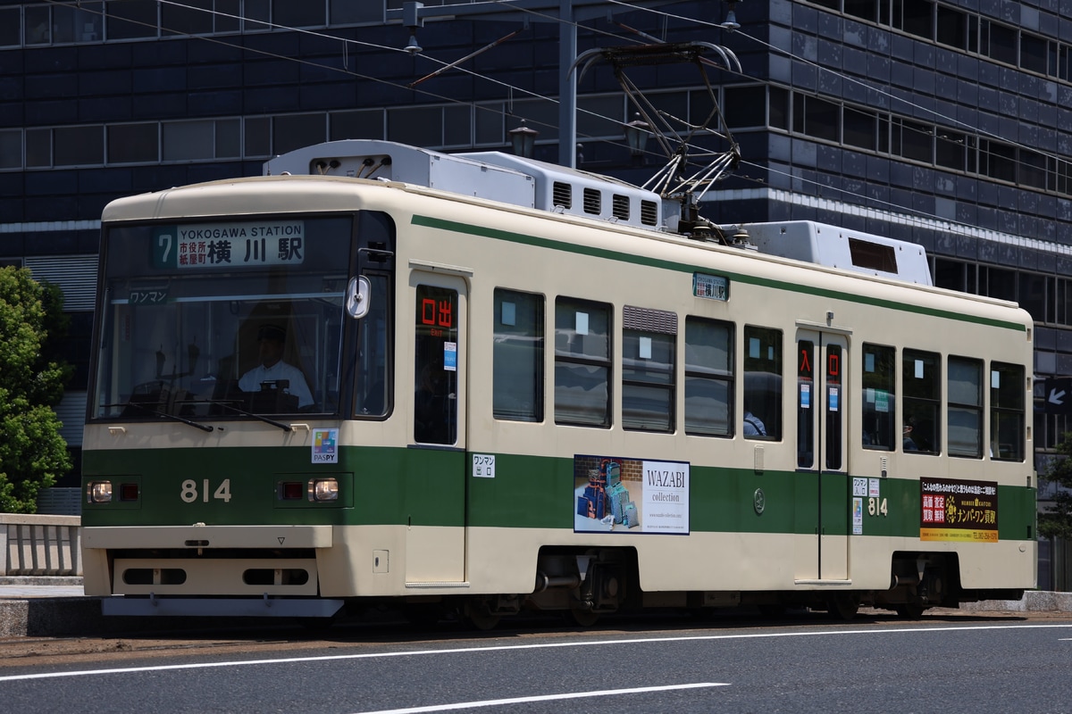 広島電鉄 千田車庫 800形 814