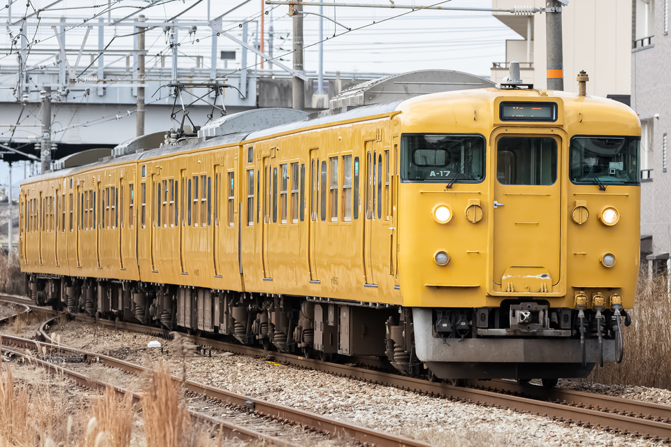 JR西115系A17編成<br class="br-sp" />(A-17編成)(オカA17編成)(オカA-17編成)の写真