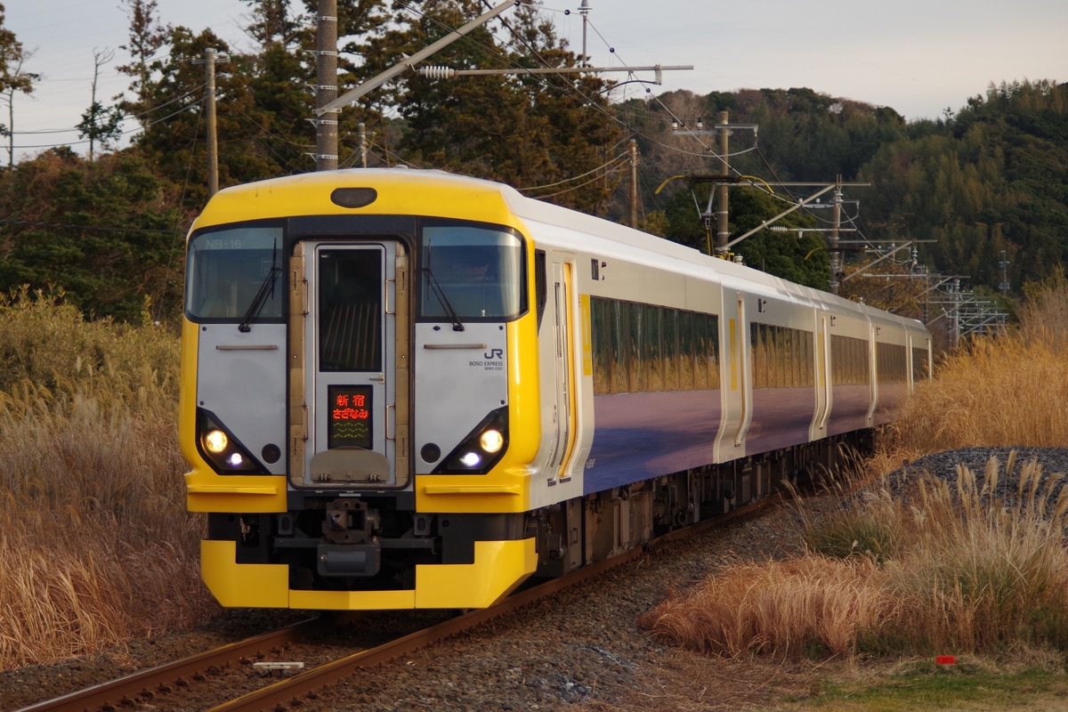JR東日本 幕張車両センター E257系 マリNB-16編成