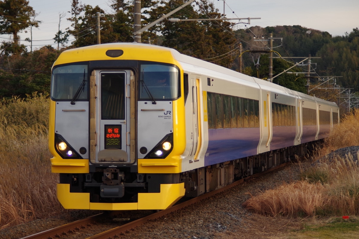 JR東日本 幕張車両センター E257系 マリNB-16編成