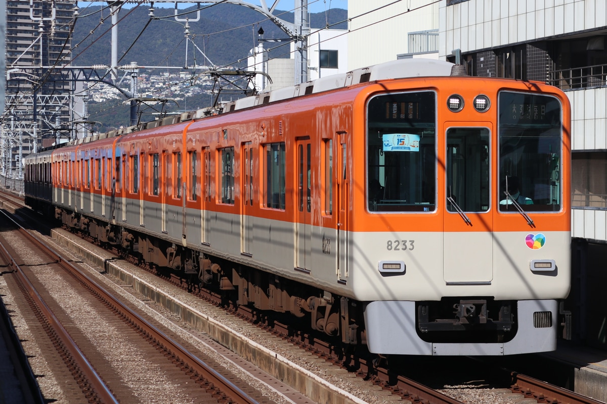 阪神電気鉄道 尼崎車庫 8000系 8233F