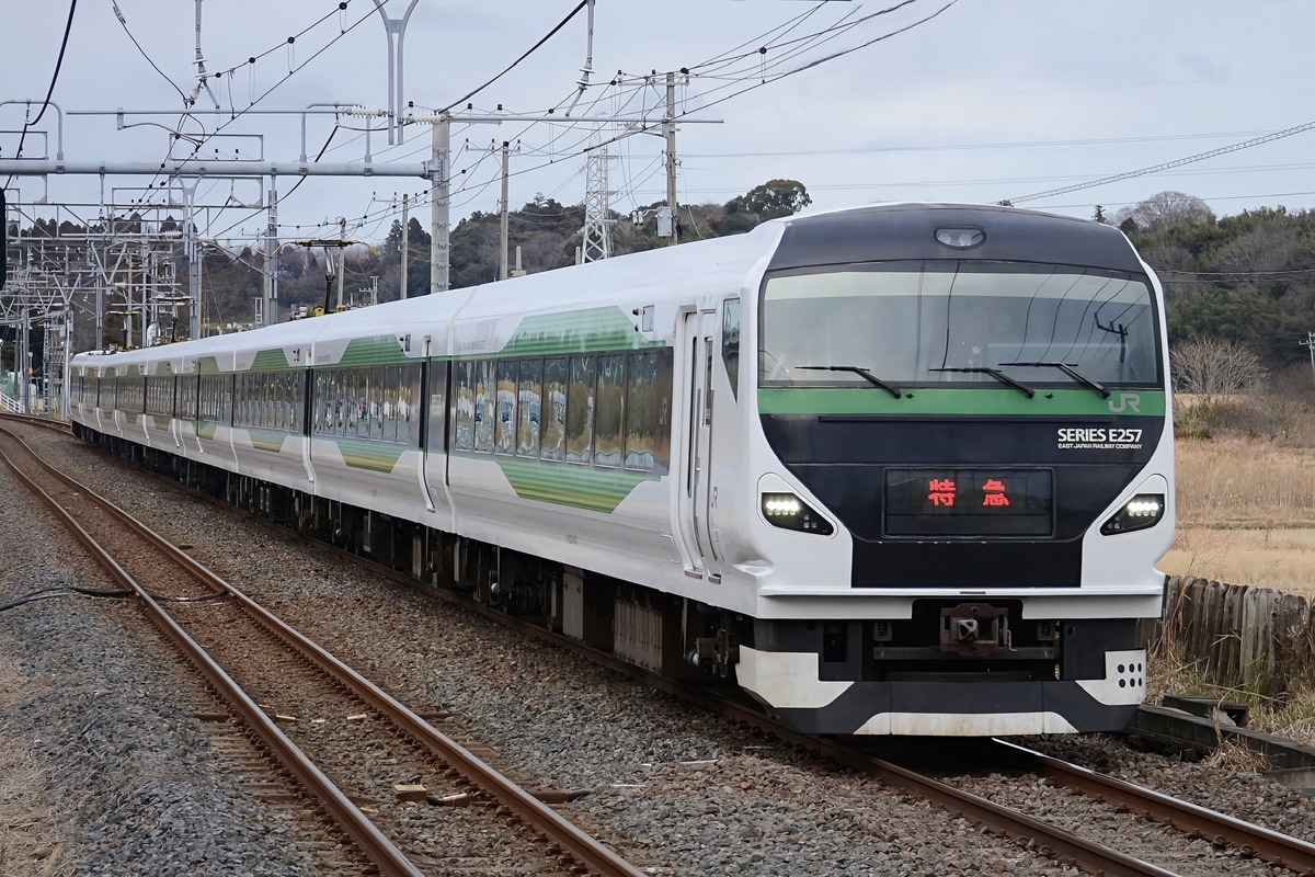 JR東日本 大宮総合車両センター東大宮センター E257系 オオOM-92編成