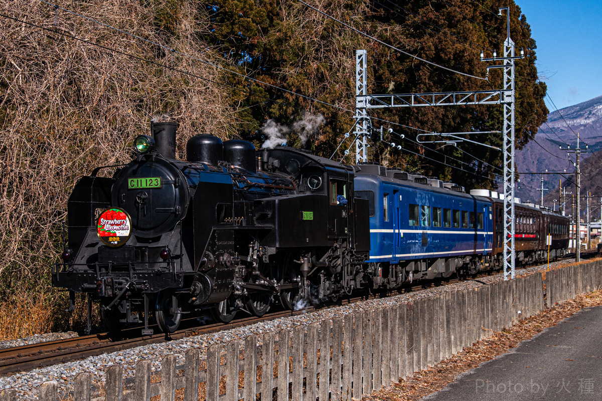 東武鉄道 下今市機関区 C11 123