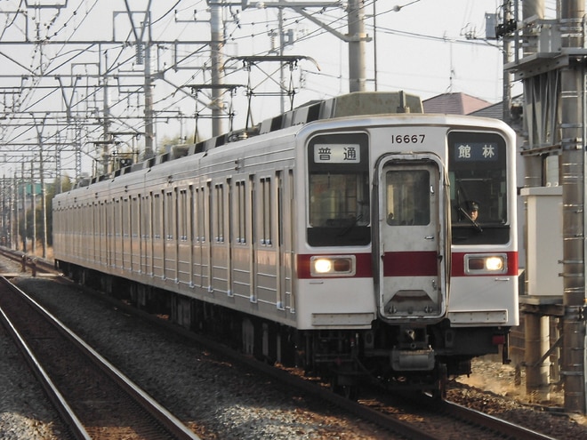 by髙