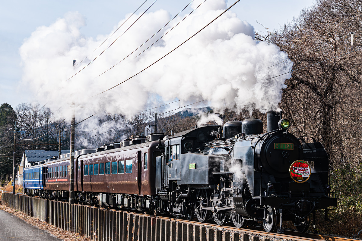 東武鉄道 下今市機関区 C11 123