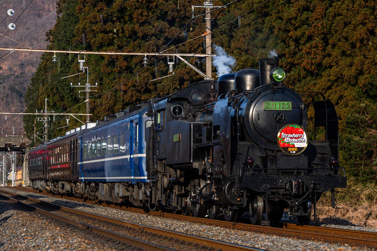 東武鉄道 下今市機関区 C11 123