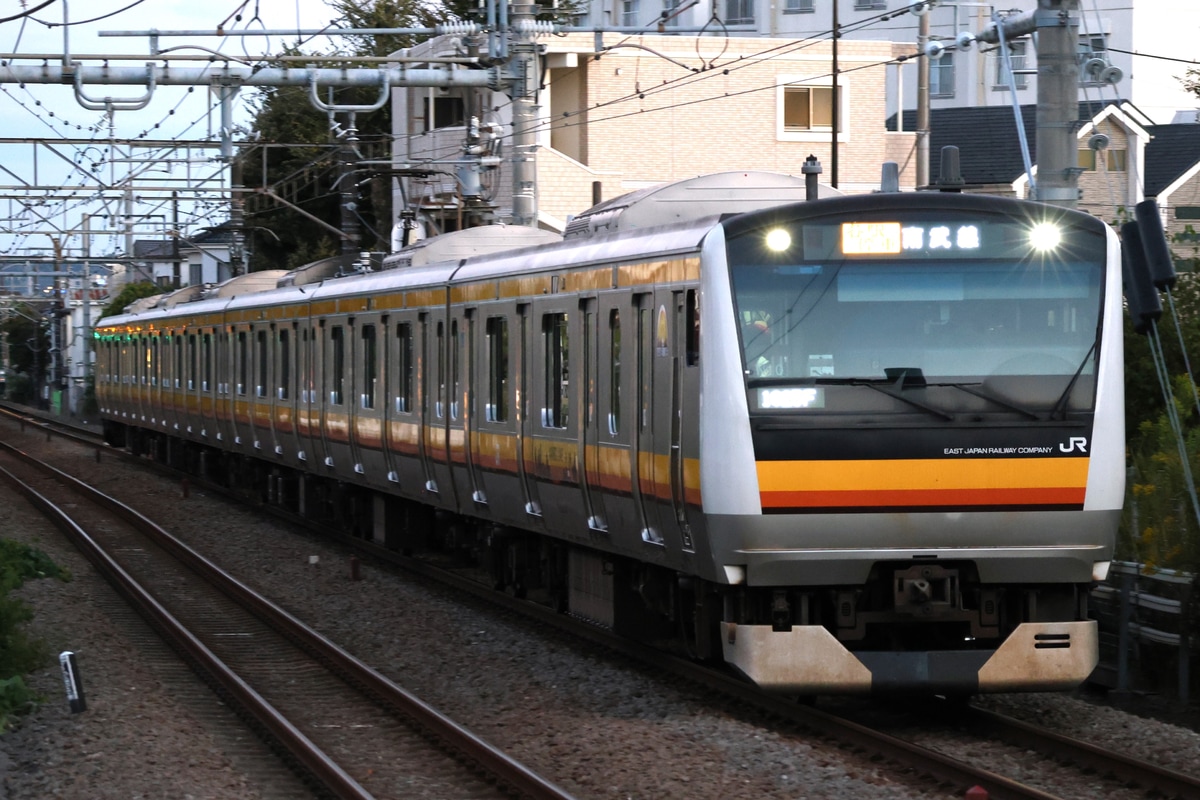 JR東日本 鎌倉車両センター中原支所 E233系 ナハN10編成