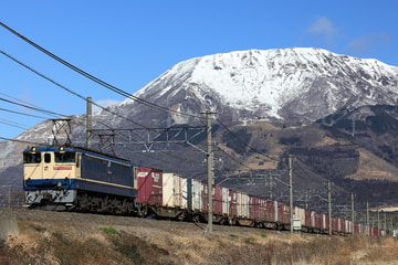 JR貨物 新鶴見機関区 EF65 2096