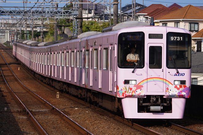 若葉台検車区9000系9731Fを京王堀之内駅で撮影した写真