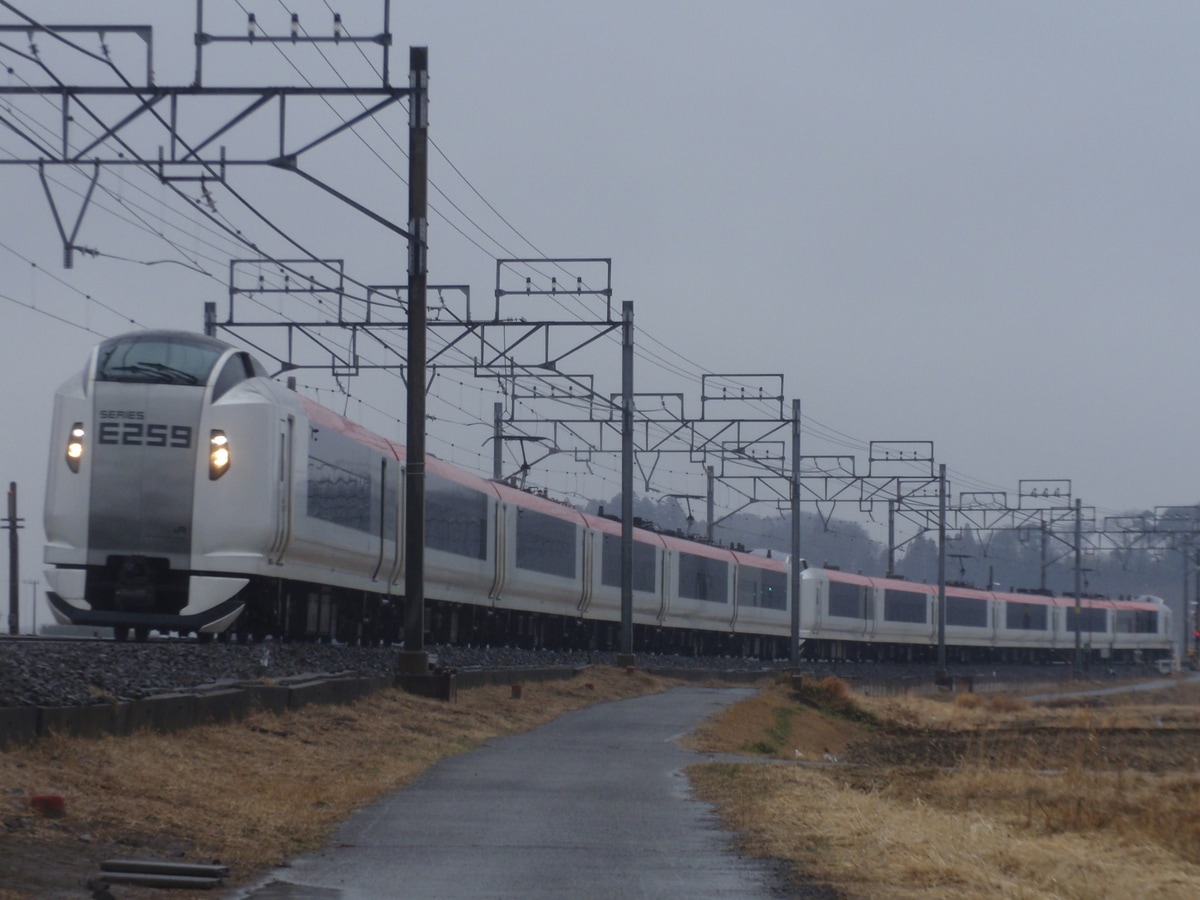 JR東日本 鎌倉車両センター本所 E259系 