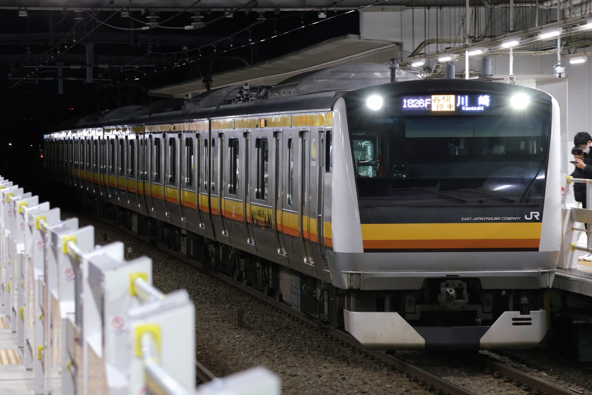 JR東日本 鎌倉車両センター中原支所 E233系 ナハN36編成