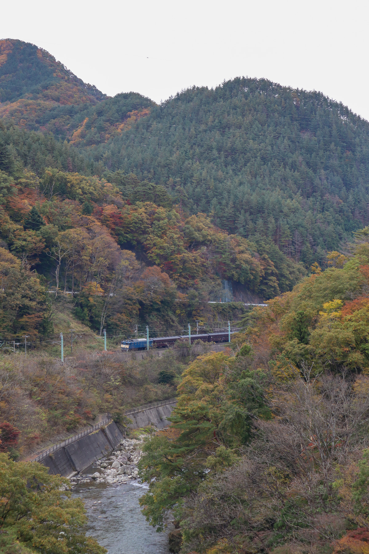 JR東日本 高崎機関区 EF64 1001