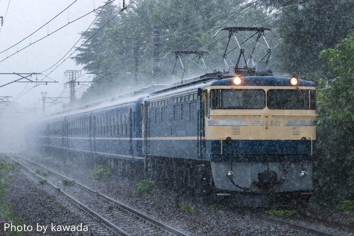 JR東日本 ぐんま車両センター EF65 501