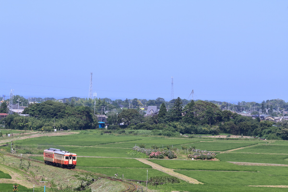 いすみ鉄道 大多喜車両基地 キハ52 125