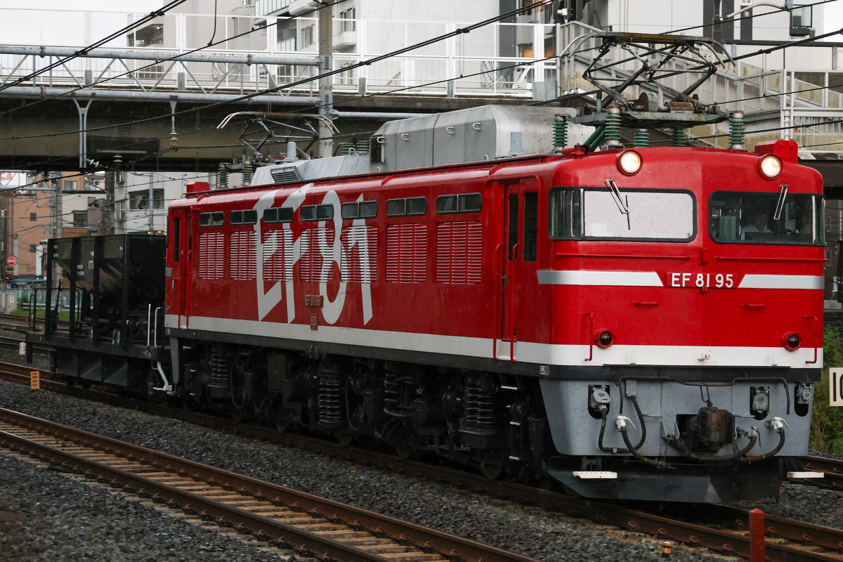 JR東日本 尾久車両センター EF81形 EF81-95