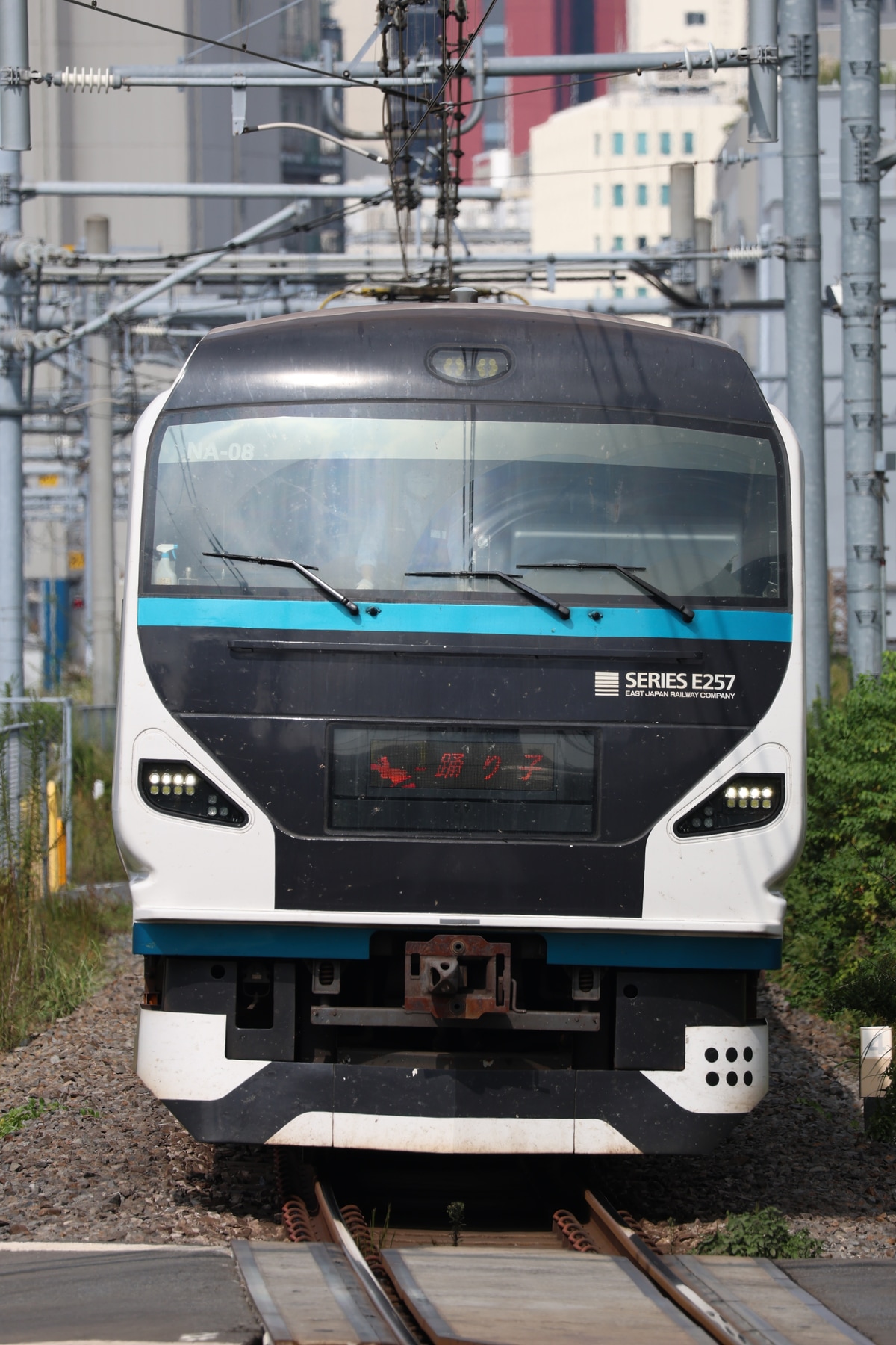 JR東日本 大宮総合車両センター東大宮センター E257系 オオNA-06編成