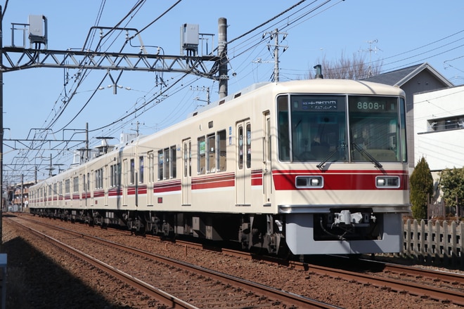 byみどり