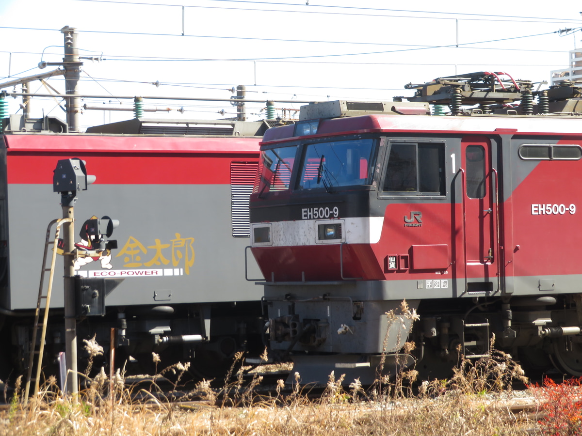 JR貨物 仙台総合鉄道部 EH500 9