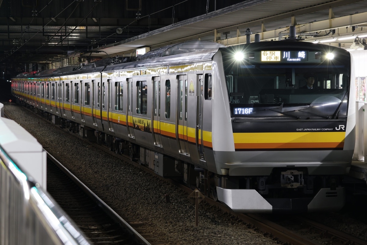 JR東日本 鎌倉車両センター中原支所 E233系 ナハN6編成