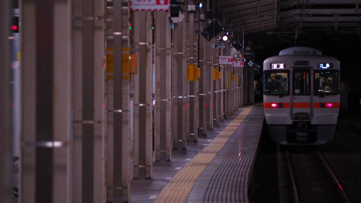 JR東海 静岡車両区 313系 シスN10編成