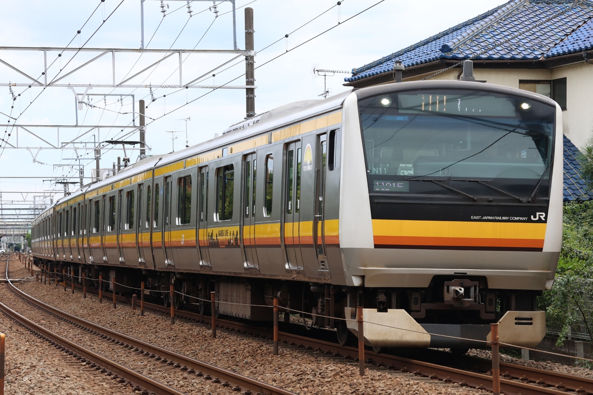 JR東日本 鎌倉車両センター中原支所 E233系 ナハN11編成