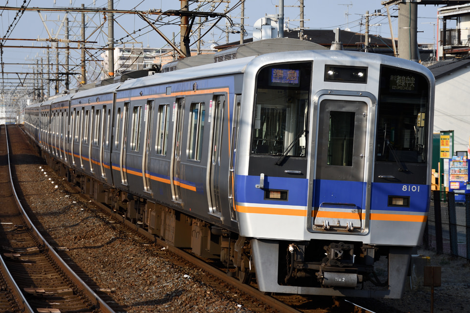 南海8000系8001F<br class="br-sp" />(8001編成)の写真