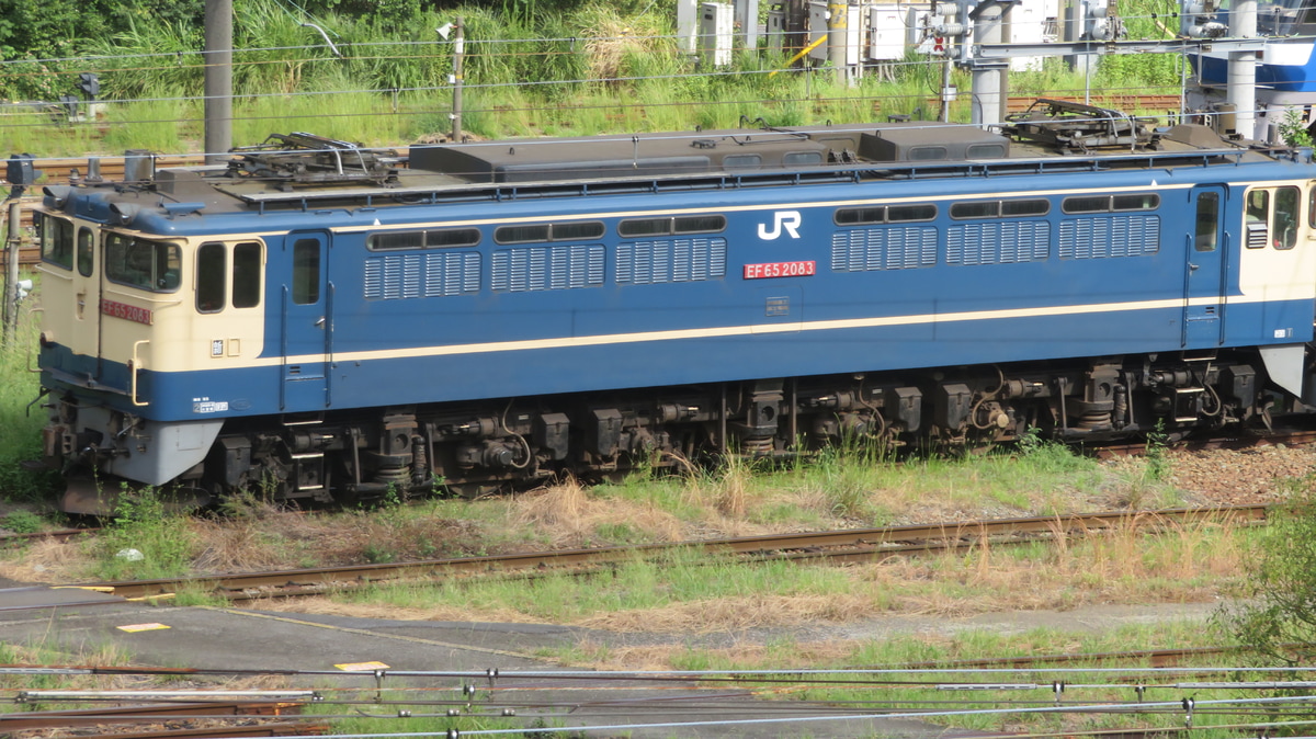 JR貨物 新鶴見機関区 EF65 