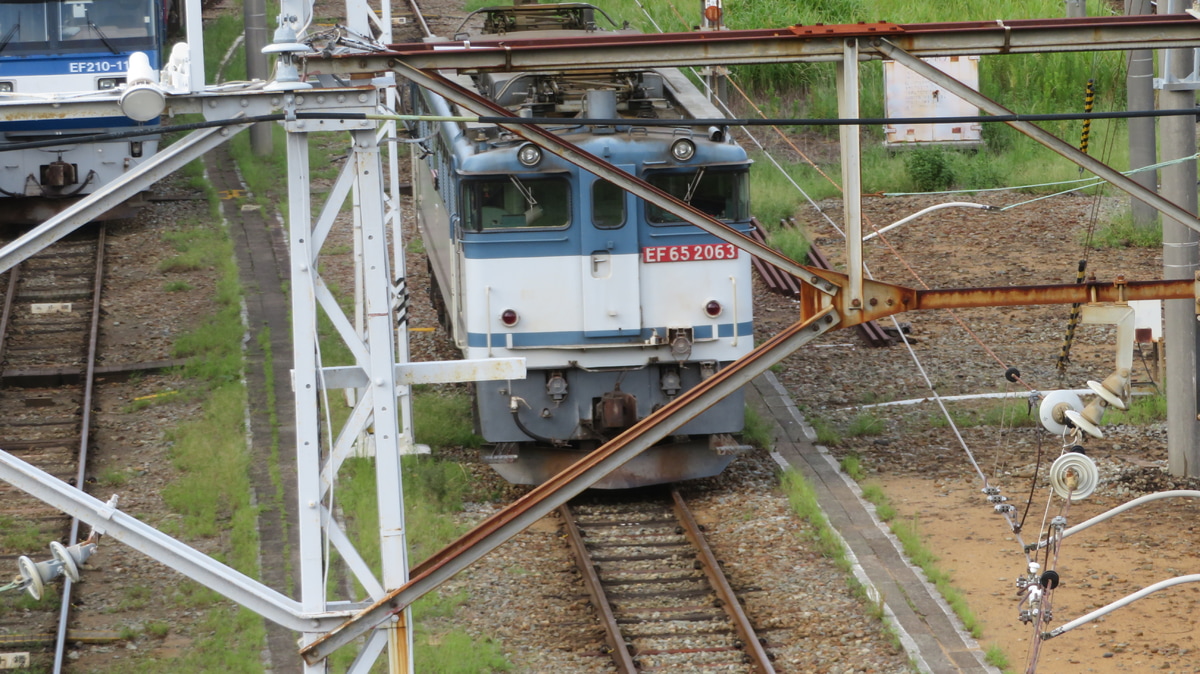 JR貨物 新鶴見機関区 EF65 2063