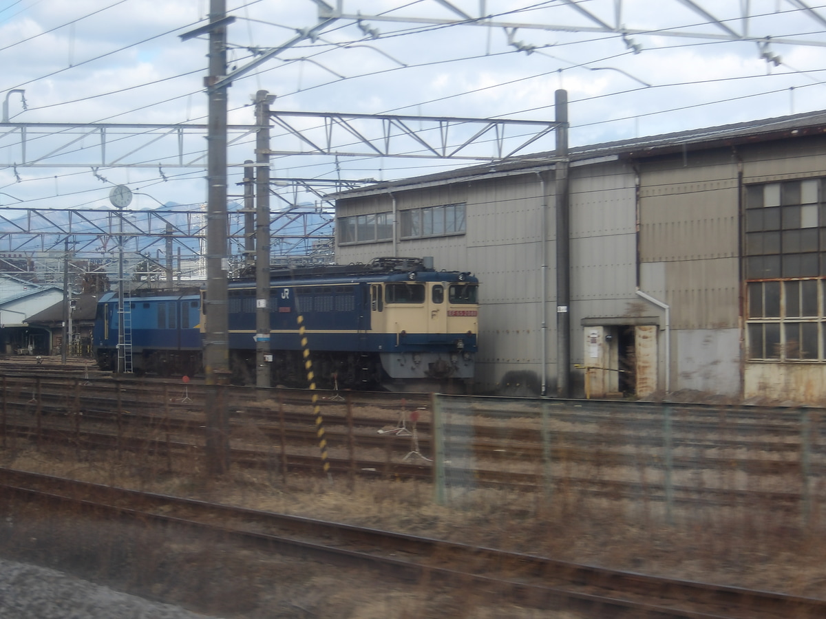 JR貨物 新鶴見機関区 EF65 2081