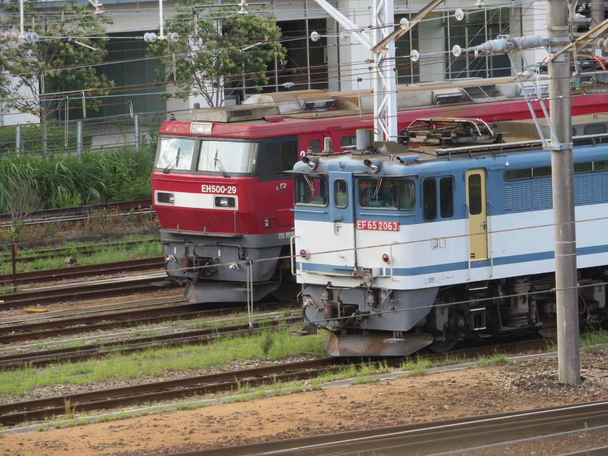 JR貨物 新鶴見機関区 EF65 2063
