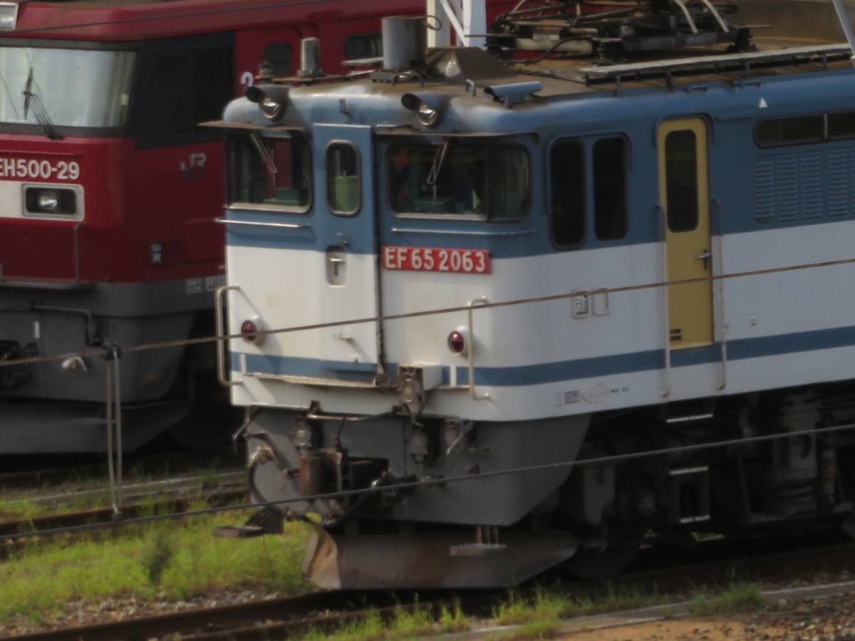JR貨物 新鶴見機関区 EF65 2063